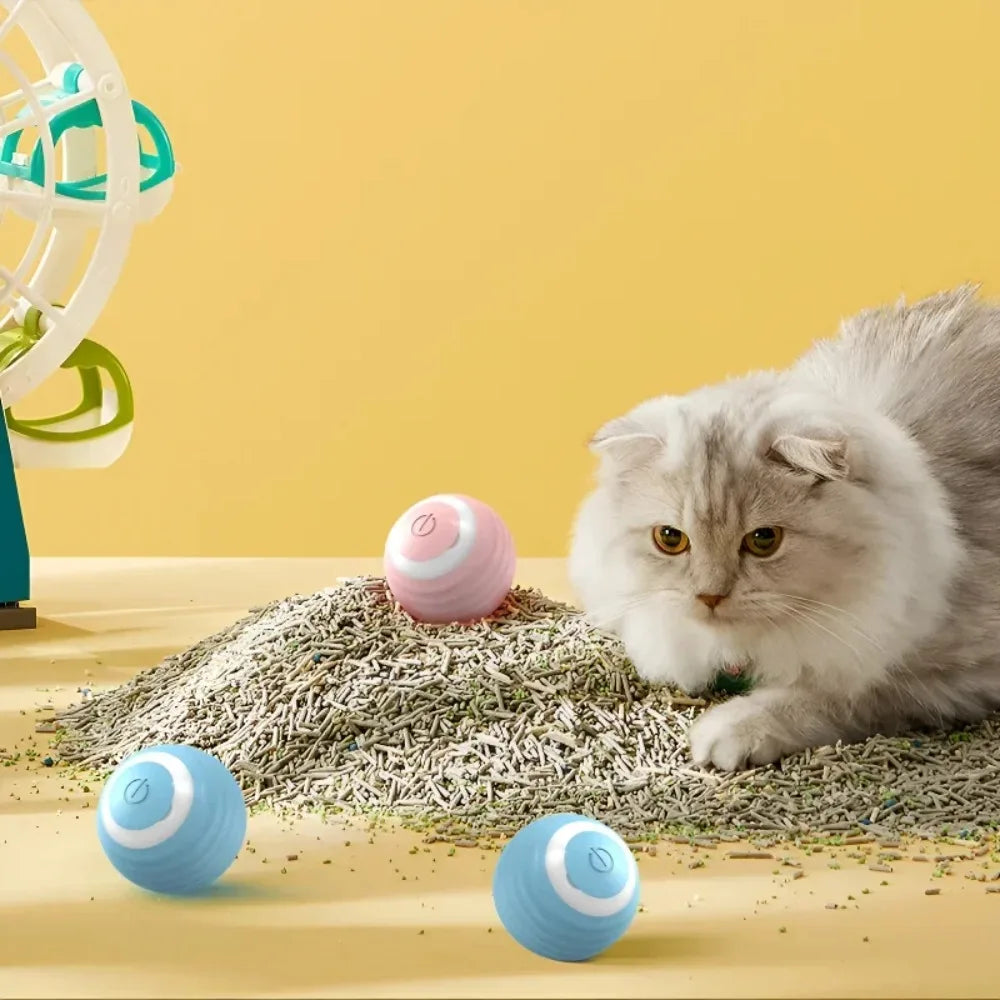 Magic cat Intelligent rolling ball