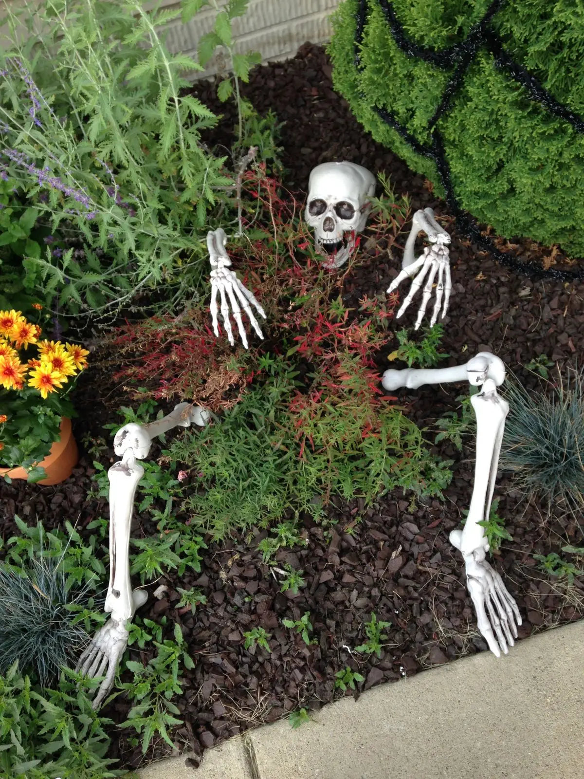 Skeleton Head & Arms Yard Decoration
