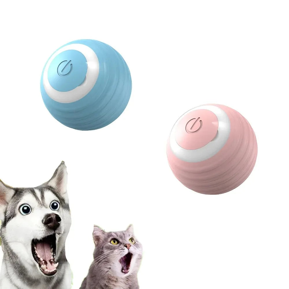 Magic cat Intelligent rolling ball