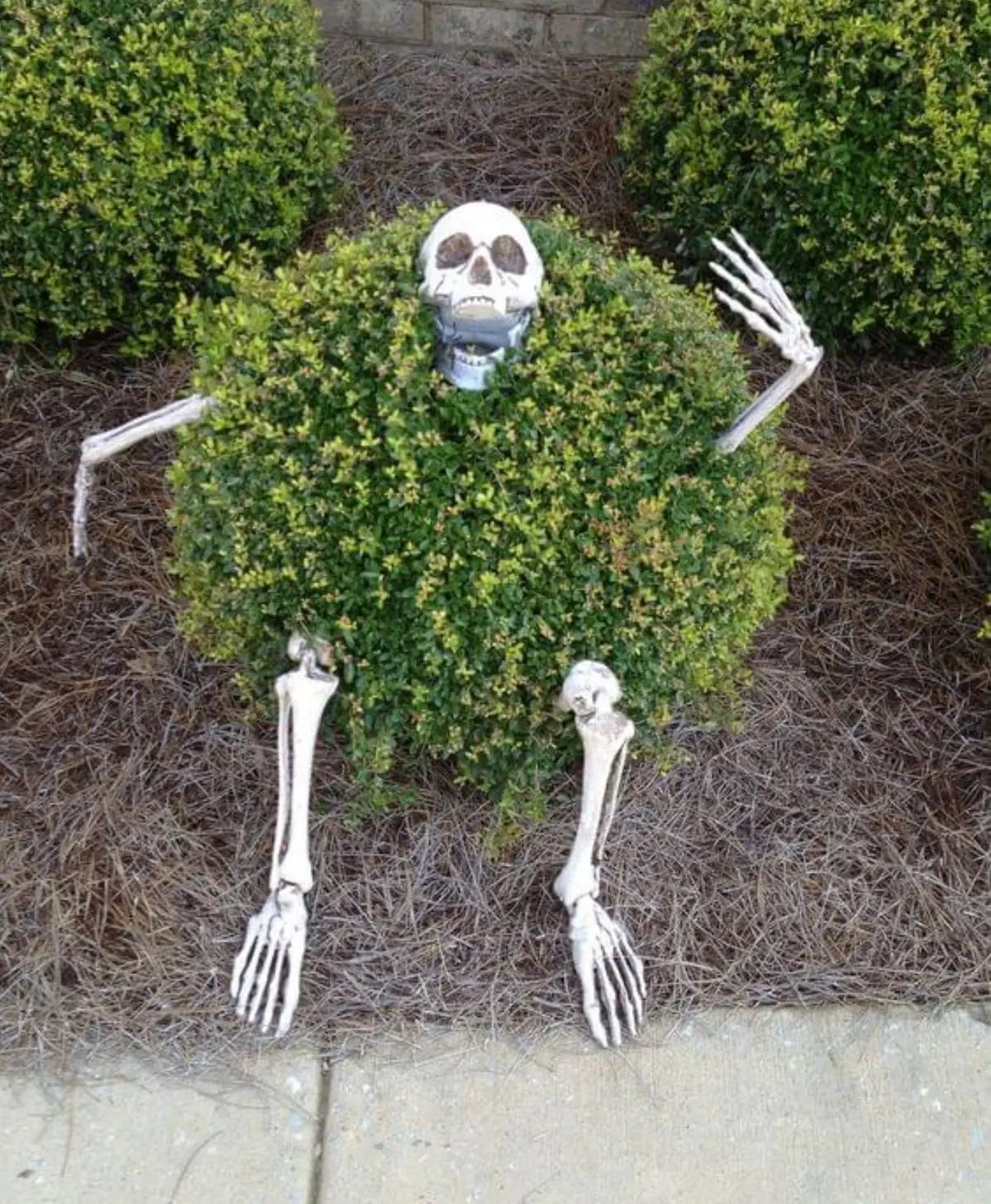 Skeleton Head & Arms Yard Decoration